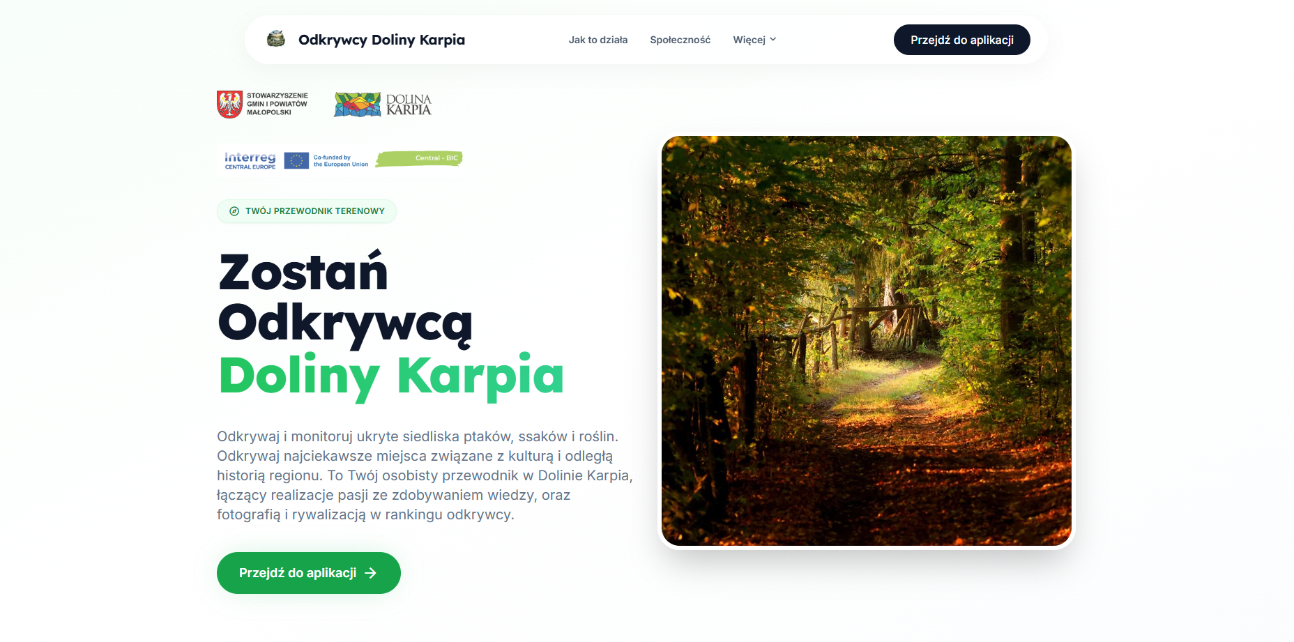 Verexo - web development, UI/UX, backend i FiveM